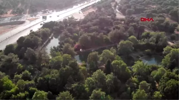 Son dakika haberi... KAHRAMANMARAŞ Yasak kalktı, gelin-damatlar Botanik Bahçesi'ne akın etti