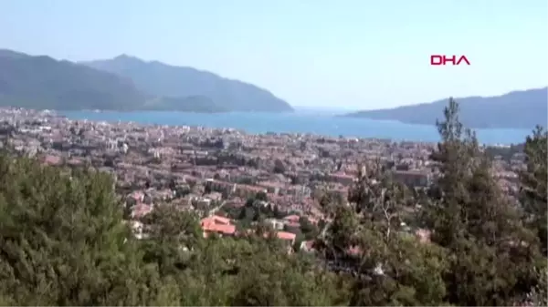 MUĞLA Marmaris'te ilçe merkezine inen yaban domuzları için 'domuz timi' kurulsun çağrısı