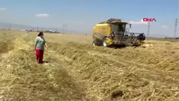 AFYONKARAHİSAR Hububat hasatı çiftinin yüzünü güldürüyor