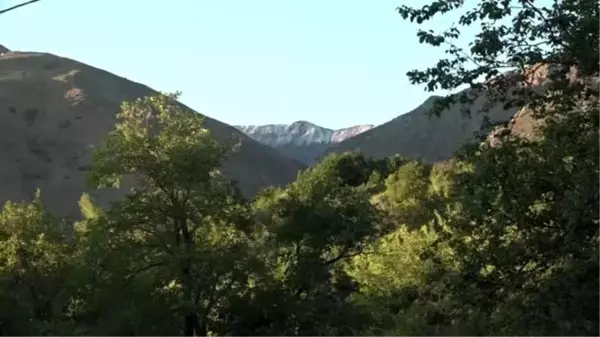 Esence Dağı'nın zirvesi temmuzda yağan dolu ile beyaza büründü