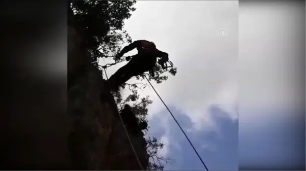 Uçurum kenarında mahsur kalan keçileri itfaiye kurtardı