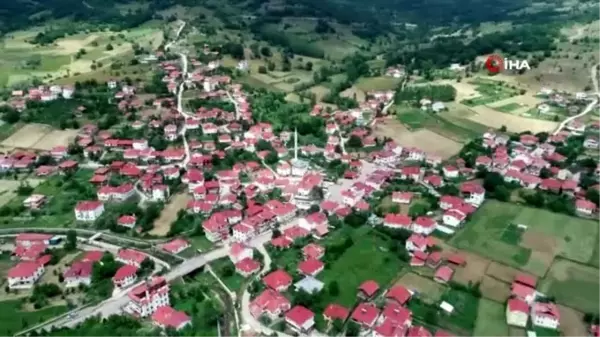 Karadeniz'in doğa ve mimarisini koruyan mahalle: Yeşilce