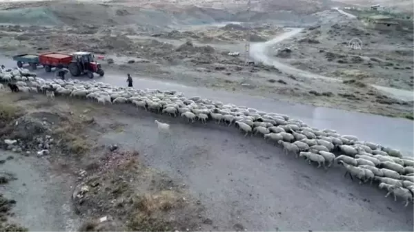 Son Dakika: Gölbaşı'nda hasat drone ile görüntülendi