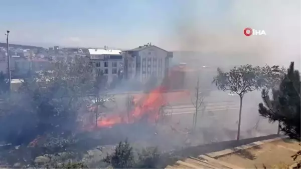 Alkol alırken yaktıkları ateş onlarca ağacı küle çevirdi