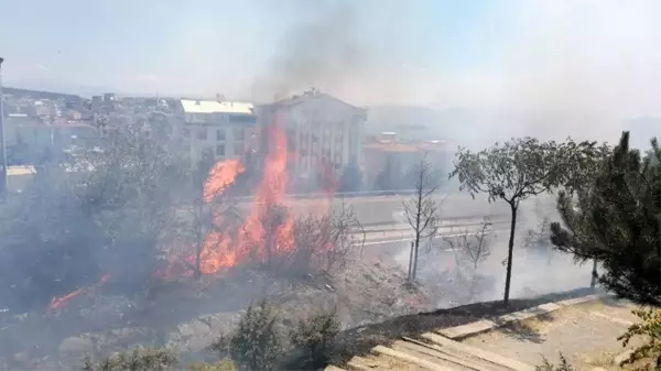 Alkol alırken yaktıkları ateş onlarca ağacı küle döndürdü