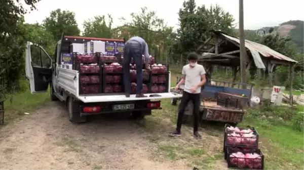 Karantinaya alınan mahallenin sakinlerine gıda desteği sağlandı