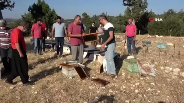 Mersin'de arı kovanlarına sinek ilaçlı saldırı