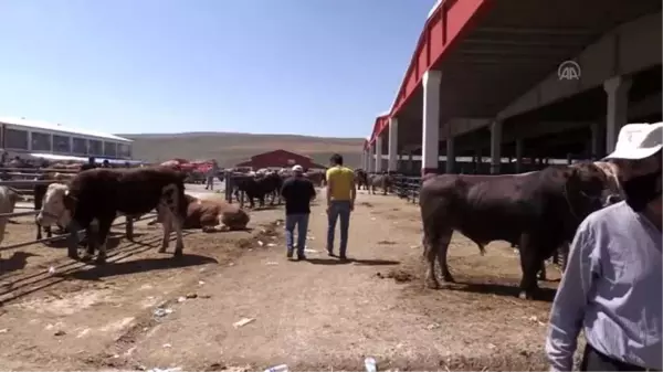 Doğu'nun hayvancılık merkezlerinde Kurban Bayramı yoğunluğu