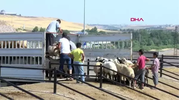 Diyarbakır'da kurban kesimi için 10 yer belirlendi