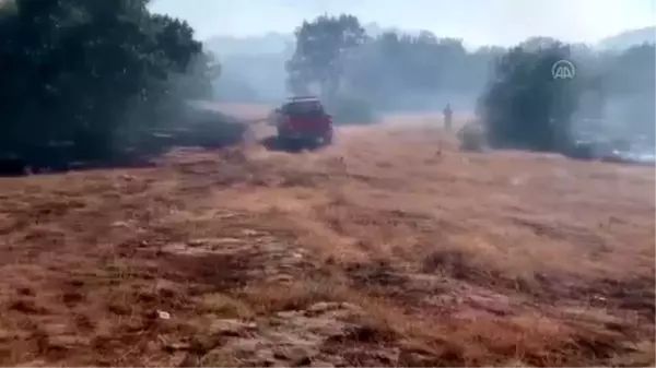 Diyarbakır'da örtü yangını