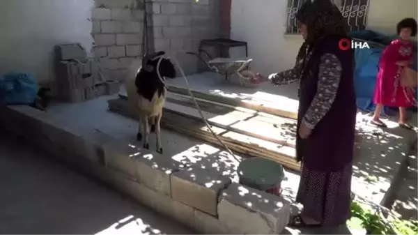 Rahme teyze, polisin hediye ettiği kurbanı gözyaşlarıyla kestirdi