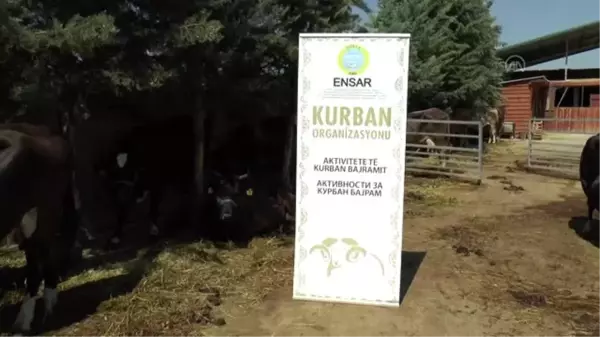 Türk kurumlarından Kuzey Makedonya'da kurban kesimi