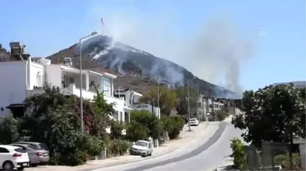 Bodrum'da makilik alanda yangın