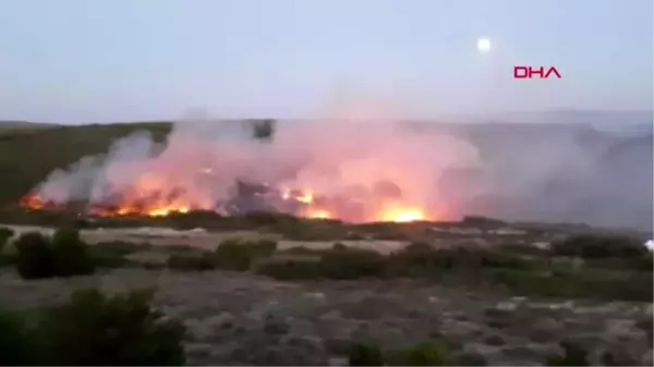 ÇANAKKALE Bozcaada'da makilik alanda yangın -2