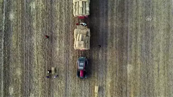 (DRONE) Konya Ovası'nda balya işçilerinin zorlu ekmek mücadelesi