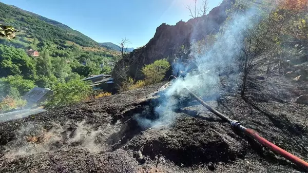 Gümüşhane'de otlar tutuştu, çok sayıda bahçe küle döndü