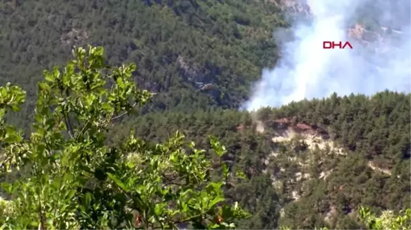 Sinop'taki orman yangını 'ateş kuşu'nun desteğiyle kontrol altında