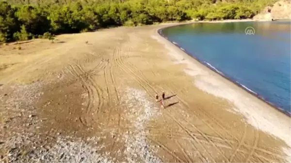 Çıralı'daki caretta caretta yuvalarına arazi araçlarıyla zarar vermişler