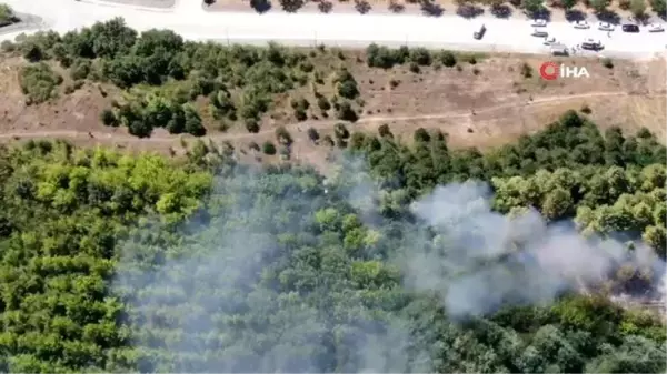 Son dakika haberleri! Düzce'de orman yangını: 4 hektar alan kül oldu