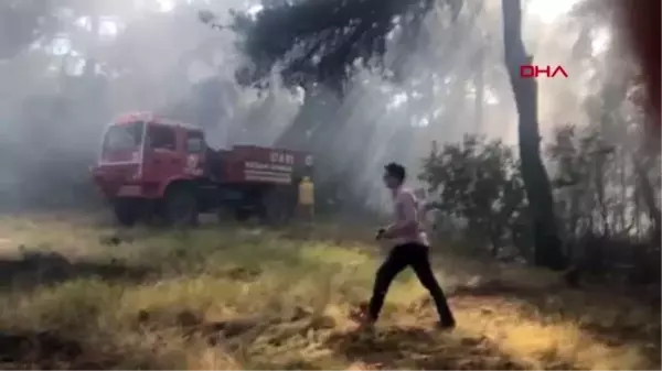 Son dakika haberleri... Keşan'da orman yangını