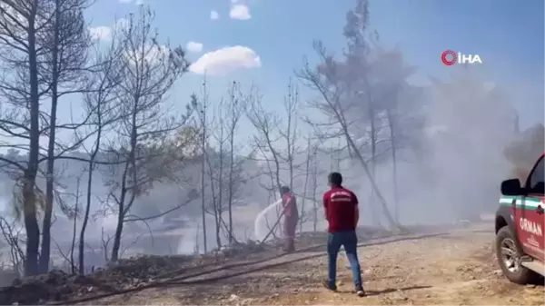 Son dakika haberi | Manavgat'ta aynı saatlerde dört ayrı noktada orman yangını