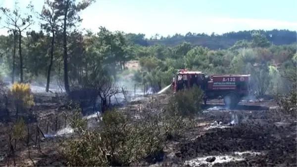 Son dakika! Manavgat'ta çıkan orman yangını söndürüldü