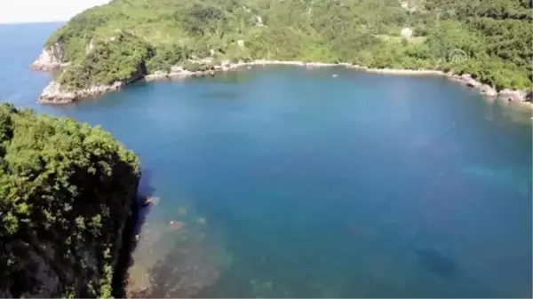 Batı Karadeniz'in güzelliğiyle cezbeden koyu: Gideros