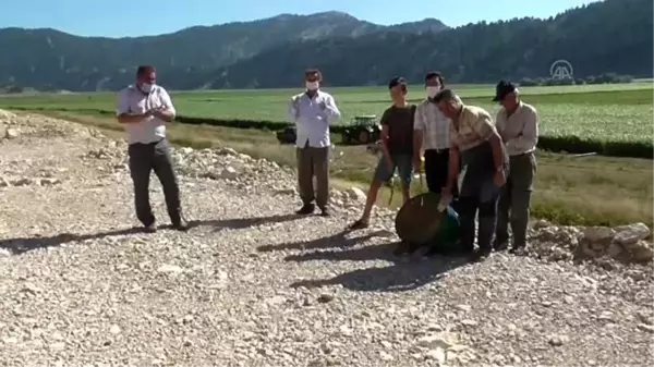 Çiftçiler, zararlarını karşılamadığını iddia ettikleri sigorta şirketini tarlada protesto etti