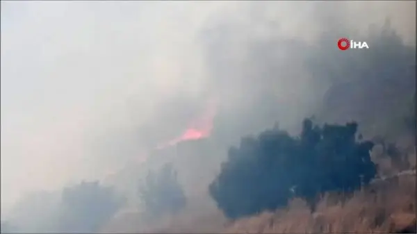 Son dakika haber | Söke'de Priene Antik Kenti alevler arasında kaldı