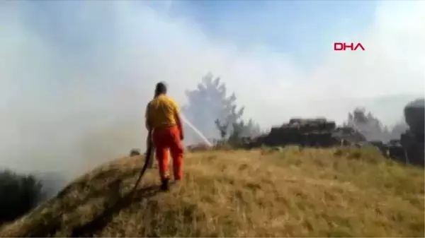 AYDIN İl Kültür ve Turizm Müdürü: Priene Antik Kenti'nde zarar minimum düzeyde