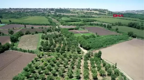 Son dakika... DİYARBAKIR HEVSEL ÜRETİCİSİ, PAZAR YERİ İSTİYOR