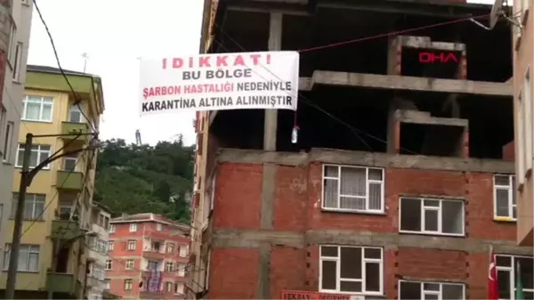 TRABZON Kesilen büyükbaş şarbonlu çıktı, mahalle karantinaya alındı