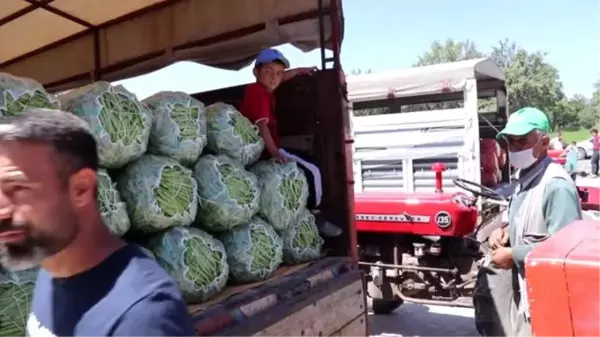 Son dakika! İnsuyu fasulyesi 3 lira 60 kuruştan alıcı buluyor