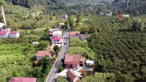 Son dakika... Kardeşini ve yeğenini öldüren şahıs yakalandı