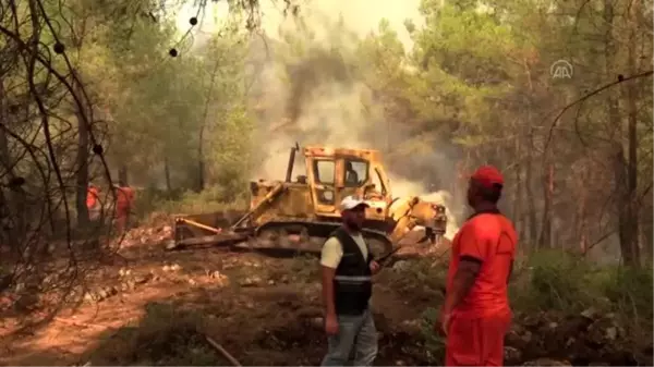 Son dakika haber: Serik'te orman yangını (2)