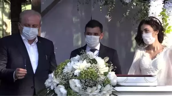 TBMM Başkanı Şentop, nikah şahidi oldu - BOLU