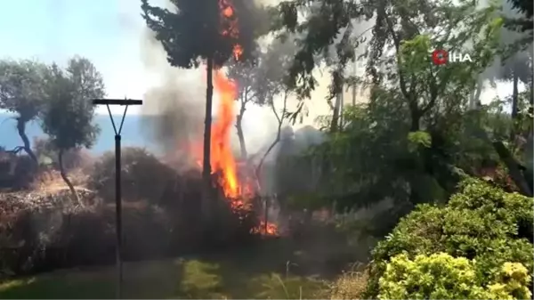 Son dakika haberleri... Falezlerde çıkan yangında ağaçlar alev alev yandı