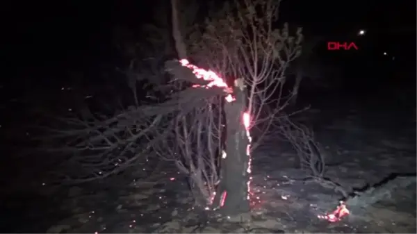 Son dakika haber | Kahramanmaraş'ta 1 hektarlık bahçe yandı