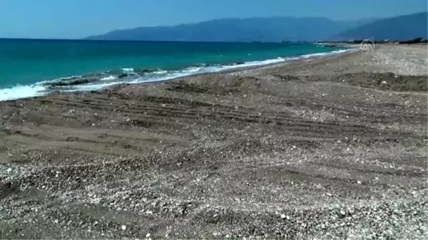 Antalya'da caretta carettaların üreme alanına iş makinesiyle girildi