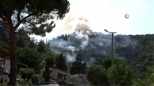 Son dakika haberi... Kocaeli'de orman yangını