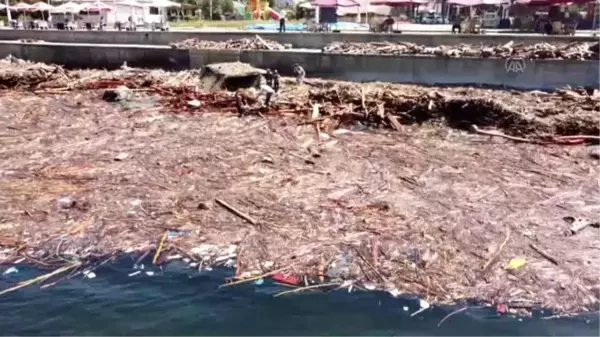 Son dakika haber... (DRONE) Sahil, selin sürüklediği odun parçaları ile kaplandı