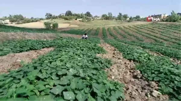 Koyun otlatıp, tarlada çalışan çocuklar fen lisesini kazandı