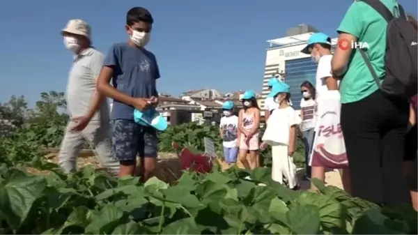 Yeni nesil, tarımla tanışıyor