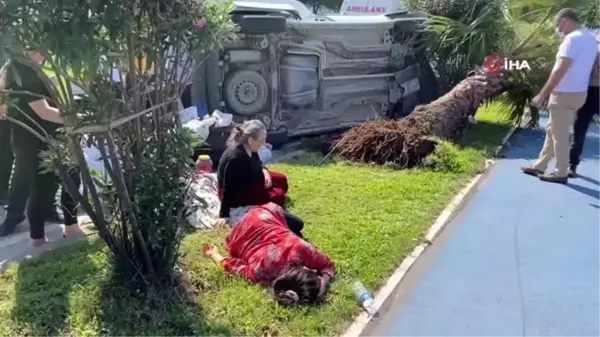 Ordu'da hafif ticari araç ağaca çarptı: 4 yaralı