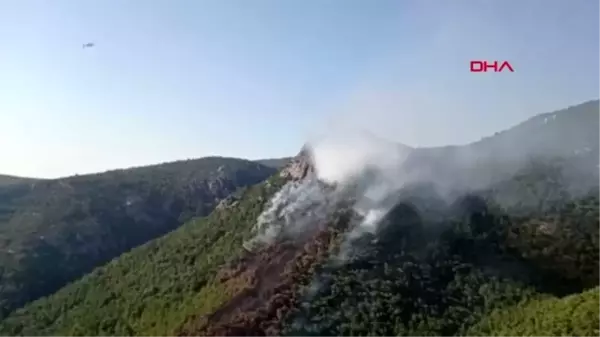 İZMİR Bornova'da makilik yangını kontrol altına alındı