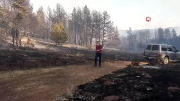 Son dakika haberi! Çankırı'da orman yangını: Helikopterlerle müdahale edildi