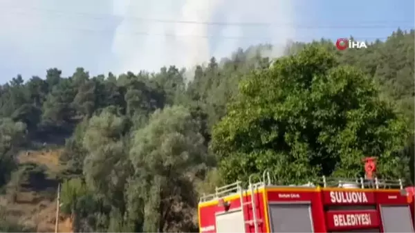 Amasya'daki orman yangını: 2 gözaltı