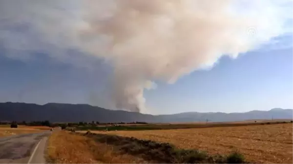 Çardak'ta orman yangını