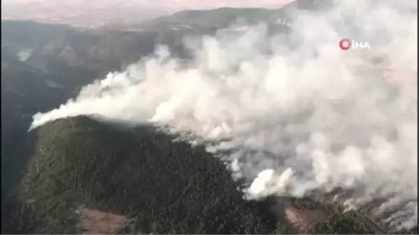 Son Dakika: Denizli'deki orman yangını geniş bir alanda devam ediyor