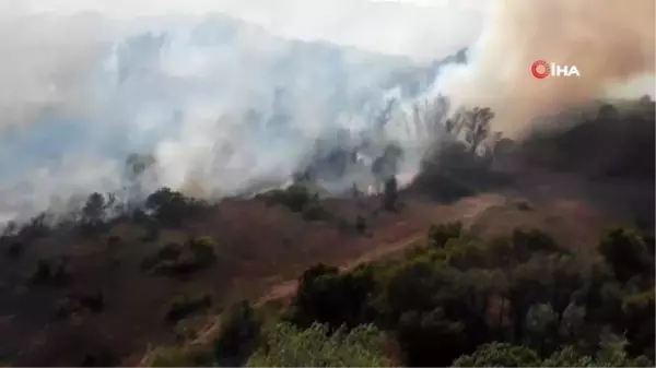 Rusya'da ormanlık alanda yangın: 2 ölü